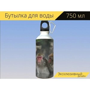 Бутылка фляга для воды "Животное, обезьяна, детские японские макаки едят листья" 750 мл. с карабином и принтом