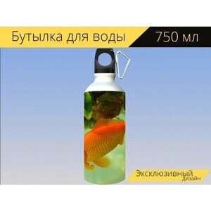 Бутылка фляга для воды "Золотая рыбка, рыбы, плавать" 750 мл. с карабином и принтом