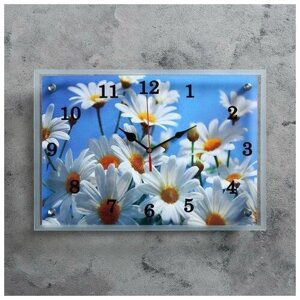 Часы настенные, серия: Цветы, "Ромашки", 25х35 см