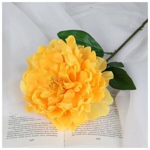 Цветы искусственные "Пион бархатный" 15х55 см, жёлтый
