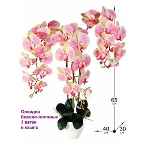 Искусственная Орхидея бежево-лиловая 3 ветки 65 см в кашпо от ФитоПарк