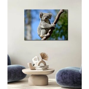 Картина - Коала, коала на дереве, коала арт, рисунок коалы (16) 50х70