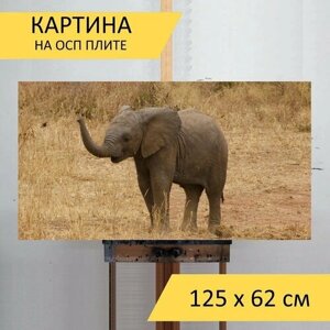 Картина на ОСП 125х62 см. Слоненок, толстокожий, слон" горизонтальная, для интерьера, с креплениями