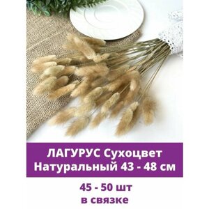 Лагурус, сухоцвет натуральный, сухоцветы для декора, связка 45-50 шт, 43-48 см