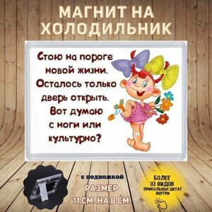 Магнит прикол на холодильник