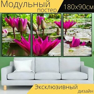 Модульный постер "Природа, цветок, завод" 180 x 90 см. для интерьера