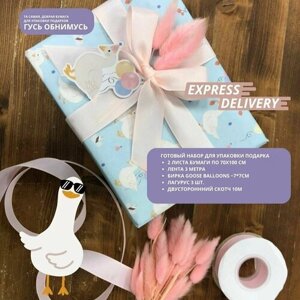 Набор для упаковки подарка Goose Balloons: упаковочная подарочная бумага, лента, двусторонний скотч и декор
