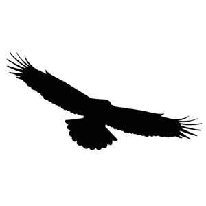 Наклейки-стикеры: силуэты хищных птиц (42 x 30) см - V9