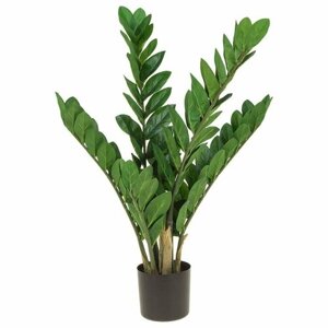 Nobilis Marco Plants Растение искусственное Замиокулькас H68, 98 листа