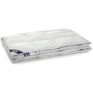 Одеяло BELASHOFF Коллекция 750, теплое, 140 х 200 см, белый/серебристый