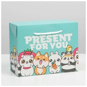 Пакет — коробка «Present», 23 18 11 см