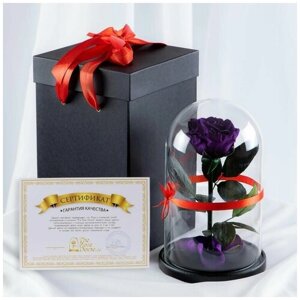 Подарочный комплект Роза в колбе Premium VIP 7-8 см, коробка Wow-effect чёрная