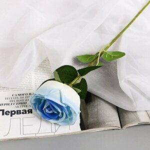 Poetry in flowers Цветы искусственные "Роза Вивальди" d-7 50 см, бело-голубой