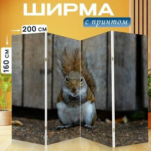 Ширма "Белка, портрет, милый" раскладная перегородка для зонирования с принтом на холсте