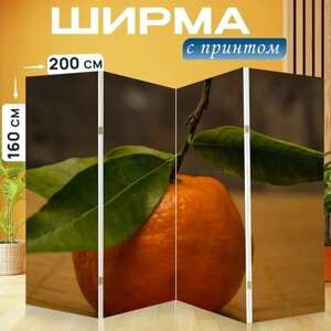 Ширма "Клементины, апельсины, фрукты" раскладная перегородка для зонирования с принтом на холсте