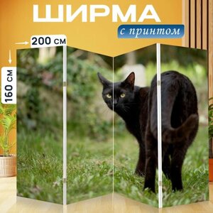 Ширма перегородка с принтом "Котенок, кошка, черный кот" на холсте - 200x160 см. для зонирования, раскладная