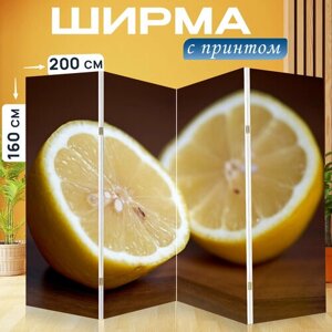 Ширма перегородка с принтом "Лимон, фрукты, желтый" на холсте - 200x160 см. для зонирования, раскладная