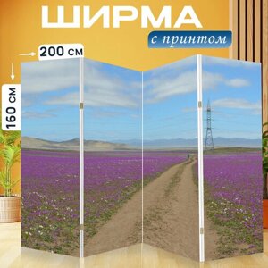 Ширма перегородка с принтом "Пустыня, цвести, цветок" на холсте - 200x160 см. для зонирования, раскладная