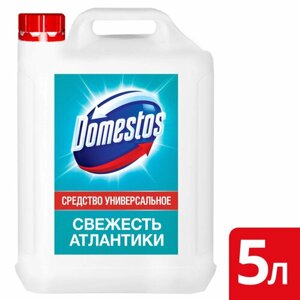 Специальное чистящее средство Средство для сантехники DOMESTOSСвежесть Атлантики 5 л