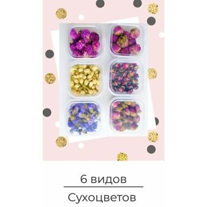 Сухоцветы набор для творчества 6 видов