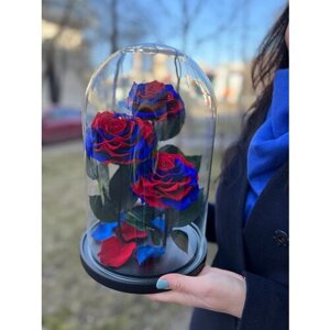 Трио «Люкс» красно-синие розы в колбе в подарочной коробке /32 см