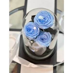Трио «Premium» небесно голубые розы в колбе в подарочной коробке/26 см