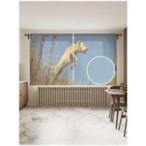 Тюль для кухни и спальни JoyArty "Пес в прыжке", 2 полотна со шторной лентой шириной по 145 см, высота 180 см.