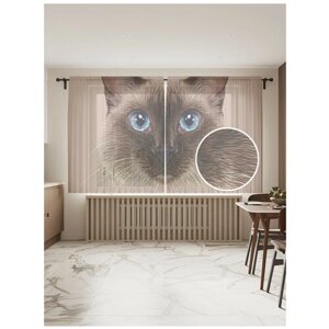 Тюль для кухни и спальни JoyArty "Тайский кот", 2 полотна со шторной лентой шириной по 145 см, высота 180 см. Бежевый, серый, темно-серый
