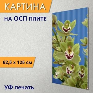 Вертикальная картина на ОСП "Орхидея, завод, цветок" 62x125 см. для интерьериа