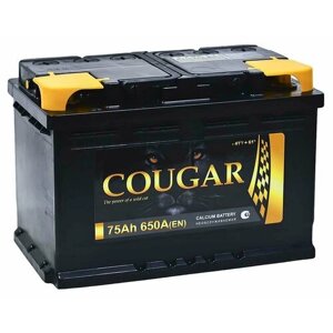 Аккумулятор автомобильный Cougar Power 75 А/ч 680 A обр. пол. Евро авто (278x175x190)