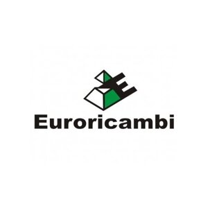 Euroricambi 95535205 EU95535205_прокладка кпп! ZF 9S1310