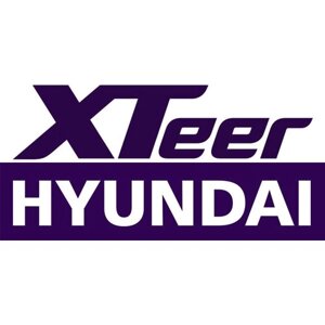 Hyundai-XTEER 2010003 жидкость тормозная brake fluid DOT-3 0,8л