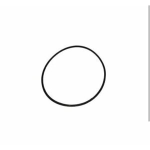 Кольцо Буран уплотнительное коллектора большое (110500996)