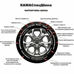 Легковая шина Ikon Tyres (Nokian Tyres) Nordman SX3 XL 195/55-R15 89H