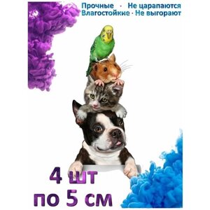 Наклейка на авто "Кошка pet сидя"