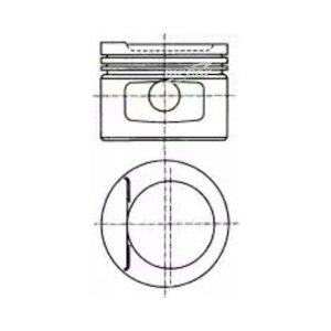 NURAL 8750180020 Поршень в комплекте