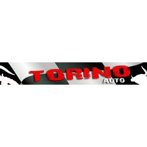 Torino AUTO TZ-E006-2 сигнал звуковой 12V заднего хода torino