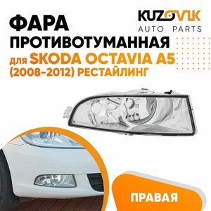 Фара противотуманная правая для Шкода Октавия А5 Skoda Octavia A5 (2008-2012) рестайлинг