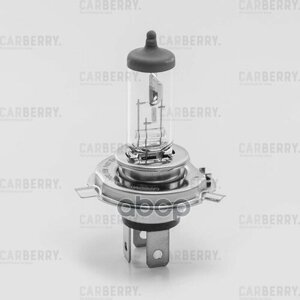 Лампа H4 12V (60/55W) daynight carberry арт. 31CA7