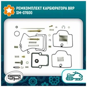 Ремкомплект карбюратора BRP SM-07600