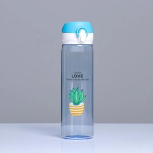 Бутылка для воды Cactus Love (500 мл)