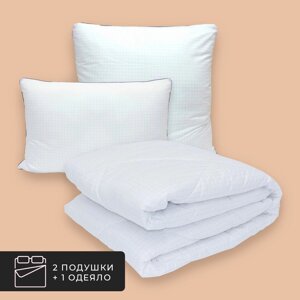 Набор 1 одеяло + 2 подушки Гармония, лебяжий пух в микрофибре (175х205, 50х70-2 шт)