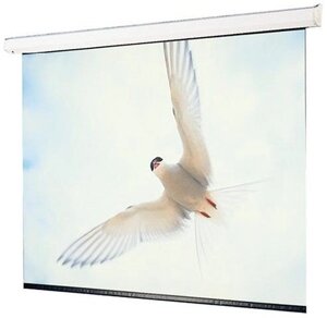 Проекционный экран_Targa HDTV (9:16) 302/119 147*264 MW case white