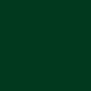 Термотрансферная пленка зеленая Flock (0.5х1 м)