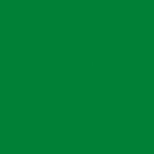 Витражная плоттерная пленка_Oracal 8300 F060 Dark Green 1.00x50 м