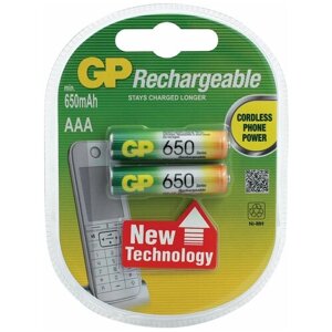 Батарейки аккумуляторные GP, AAA, Ni-Mh, 650 mAh, комплект 2 шт., блистер, 65AAAHC-2DECRC2