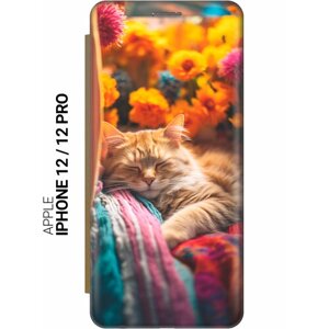 Чехол-книжка на Apple iPhone 12 / 12 Pro / Эпл Айфон 12 / 12 Про с рисунком "Спящий на пледе котик" золотистый
