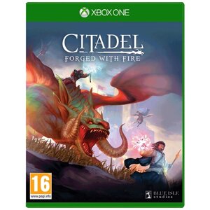Citadel: Forged with Fire [Xbox One/Series X, английская версия]
