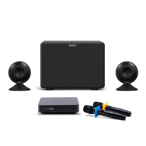 Караоке-комплект EVOBOX Black с микрофонами SE 200D и стереосистемой EvoSound Sphere 2.1. Black.
