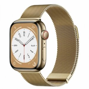 Ремешок для часов (стальной) магнитный WiWU Wi-WB005 Braid Magnetic для iWatch 1-8/SE 42/44/45/49mm - Золотой